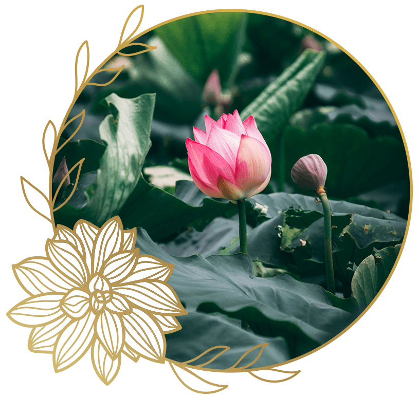 A Lotus Flower | MILIKA Center Therapy & Resilience | Encino CA